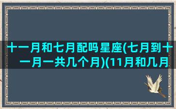 十一月和七月配吗星座(七月到十一月一共几个月)(11月和几月最配)