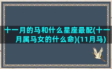 十一月的马和什么星座最配(十一月属马女的什么命)(11月马)