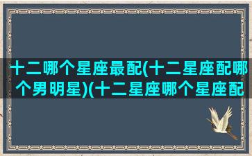 十二哪个星座最配(十二星座配哪个男明星)(十二星座哪个星座配哪个星座)