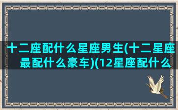 十二座配什么星座男生(十二星座最配什么豪车)(12星座配什么男朋友)