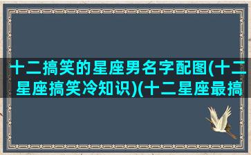 十二搞笑的星座男名字配图(十二星座搞笑冷知识)(十二星座最搞笑)