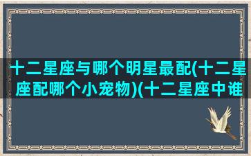 十二星座与哪个明星最配(十二星座配哪个小宠物)(十二星座中谁和谁的星座最般配)