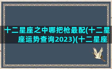 十二星座之中哪把枪最配(十二星座运势查询2023)(十二星座专属枪的排名)