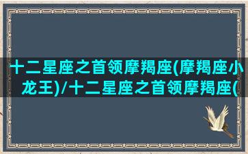 十二星座之首领摩羯座(摩羯座小龙王)/十二星座之首领摩羯座(摩羯座小龙王)-我的网站