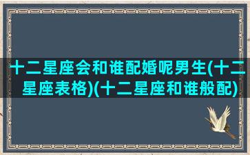 十二星座会和谁配婚呢男生(十二星座表格)(十二星座和谁般配)