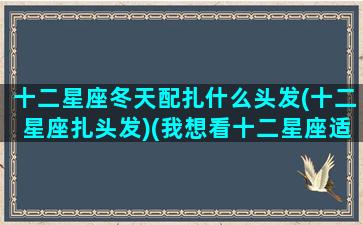 十二星座冬天配扎什么头发(十二星座扎头发)(我想看十二星座适合扎什么样的头发)