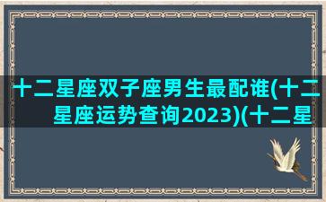 十二星座双子座男生最配谁(十二星座运势查询2023)(十二星座双子座男生的性格)