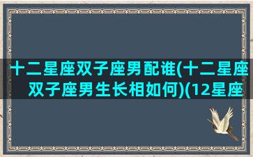 十二星座双子座男配谁(十二星座双子座男生长相如何)(12星座双子座男)