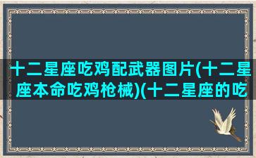 十二星座吃鸡配武器图片(十二星座本命吃鸡枪械)(十二星座的吃鸡专属武器)