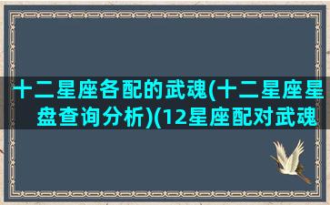 十二星座各配的武魂(十二星座星盘查询分析)(12星座配对武魂)