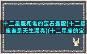 十二星座和谁的宝石最配(十二星座谁是天生漂亮)(十二星座的宝石日期颜色表)
