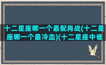 十二星座哪一个最配肖战(十二星座哪一个最冷血)(十二星座中谁和谁最配)