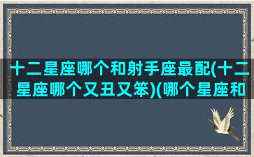 十二星座哪个和射手座最配(十二星座哪个又丑又笨)(哪个星座和射手座最般配)