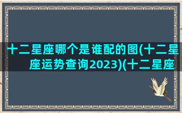 十二星座哪个是谁配的图(十二星座运势查询2023)(十二星座谁和谁最配大全)