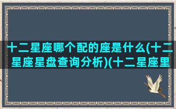 十二星座哪个配的座是什么(十二星座星盘查询分析)(十二星座里哪个星座最配)