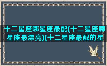 十二星座哪星座最配(十二星座哪星座最漂亮)(十二星座最配的星座是什么星座)