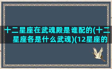 十二星座在武魂殿是谁配的(十二星座各是什么武魂)(12星座的武魂)