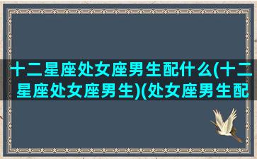 十二星座处女座男生配什么(十二星座处女座男生)(处女座男生配什么星座最好)