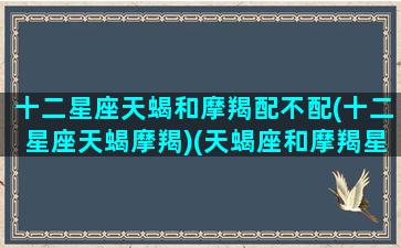 十二星座天蝎和摩羯配不配(十二星座天蝎摩羯)(天蝎座和摩羯星座最配对)