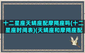 十二星座天蝎座配摩羯座吗(十二星座时间表)(天蝎座和摩羯座配对指数是多少)