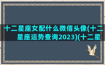 十二星座女配什么微信头像(十二星座运势查询2023)(十二星座女生微信头像)