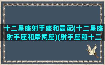 十二星座射手座和最配(十二星座射手座和摩羯座)(射手座和十二星座配对排名)