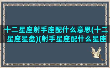 十二星座射手座配什么意思(十二星座星盘)(射手星座配什么星座最好)