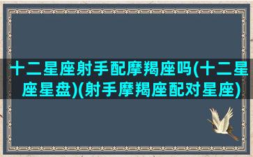 十二星座射手配摩羯座吗(十二星座星盘)(射手摩羯座配对星座)