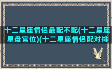 十二星座情侣最配不配(十二星座星盘宫位)(十二星座情侣配对排行)