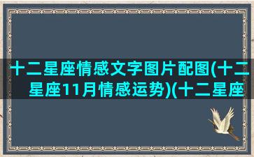 十二星座情感文字图片配图(十二星座11月情感运势)(十二星座爱情图)