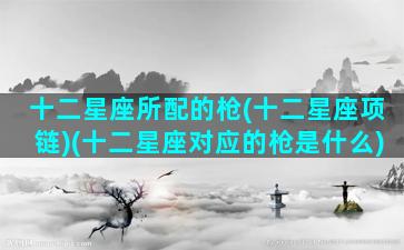 十二星座所配的枪(十二星座项链)(十二星座对应的枪是什么)