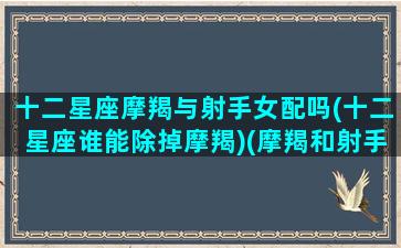 十二星座摩羯与射手女配吗(十二星座谁能除掉摩羯)(摩羯和射手的结合体)