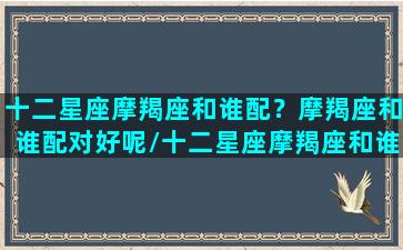 十二星座摩羯座和谁配？摩羯座和谁配对好呢/十二星座摩羯座和谁配？摩羯座和谁配对好呢-我的网站