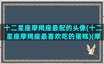 十二星座摩羯座最配的头像(十二星座摩羯座最喜欢吃的蛋糕)(摩羯座搭配的昵称和头像)