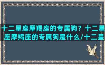 十二星座摩羯座的专属狗？十二星座摩羯座的专属狗是什么/十二星座摩羯座的专属狗？十二星座摩羯座的专属狗是什么-我的网站