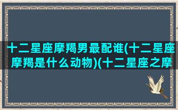 十二星座摩羯男最配谁(十二星座摩羯是什么动物)(十二星座之摩羯男)