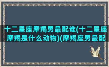 十二星座摩羯男最配谁(十二星座摩羯是什么动物)(摩羯座男最配的星座排名)