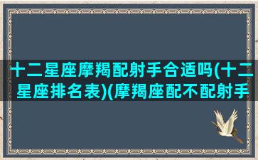 十二星座摩羯配射手合适吗(十二星座排名表)(摩羯座配不配射手座)