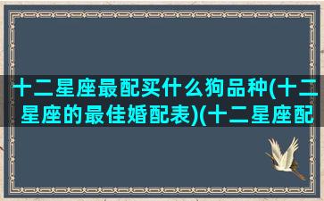 十二星座最配买什么狗品种(十二星座的最佳婚配表)(十二星座配对狗狗)