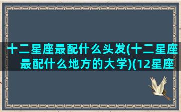 十二星座最配什么头发(十二星座最配什么地方的大学)(12星座配什么)