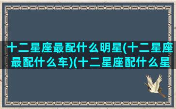 十二星座最配什么明星(十二星座最配什么车)(十二星座配什么星座最好)