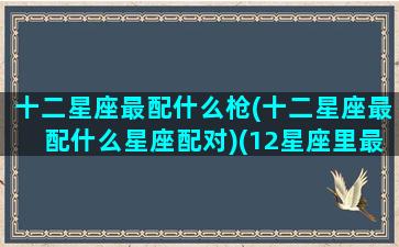 十二星座最配什么枪(十二星座最配什么星座配对)(12星座里最配的星座)