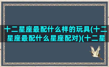 十二星座最配什么样的玩具(十二星座最配什么星座配对)(十二星座配什么星座最好)