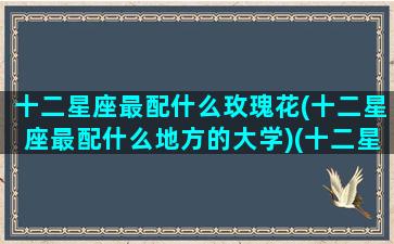 十二星座最配什么玫瑰花(十二星座最配什么地方的大学)(十二星座里最配的一对)