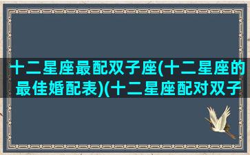 十二星座最配双子座(十二星座的最佳婚配表)(十二星座配对双子女)