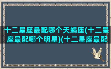 十二星座最配哪个天蝎座(十二星座最配哪个明星)(十二星座最配的人是谁)