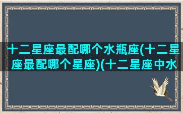 十二星座最配哪个水瓶座(十二星座最配哪个星座)(十二星座中水瓶座和谁最配)
