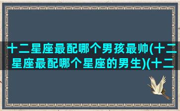 十二星座最配哪个男孩最帅(十二星座最配哪个星座的男生)(十二星座最配的男明星)