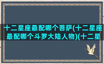 十二星座最配哪个菩萨(十二星座最配哪个斗罗大陆人物)(十二星座配什么座)