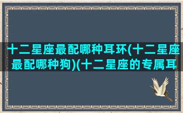 十二星座最配哪种耳环(十二星座最配哪种狗)(十二星座的专属耳钉)